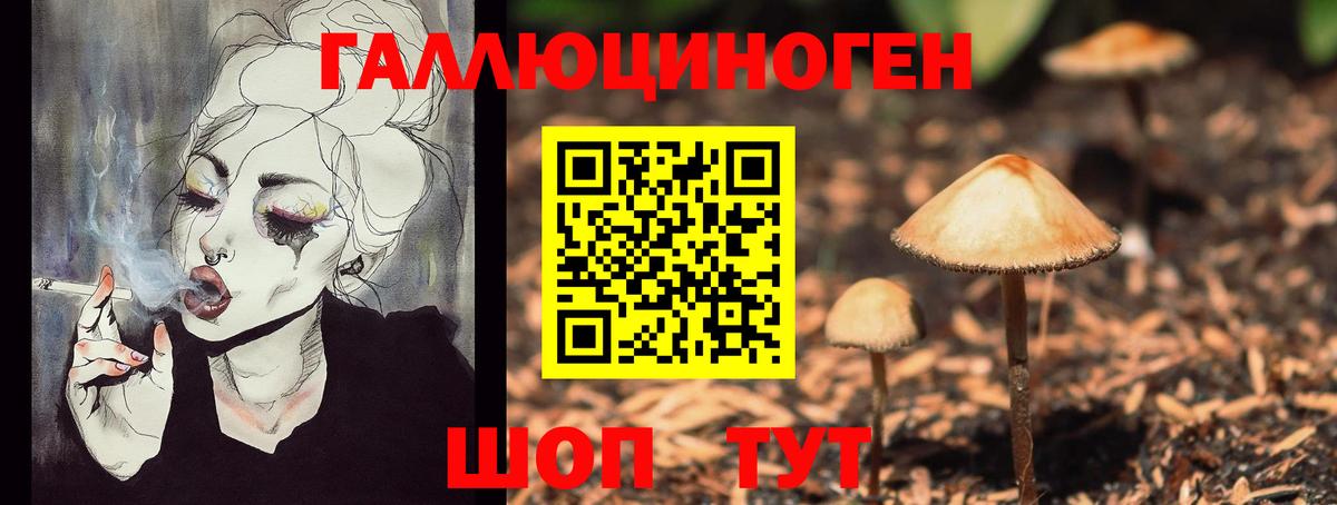 Сосновоборск  Псилоцибиновые грибы прущие грибы  Вход с VPN 